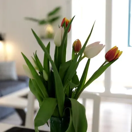 Lovely Apartment